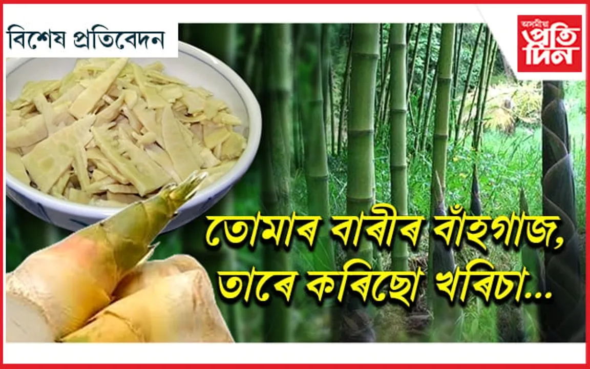 "খৰিচা" সোৱাদেই নহয়,বহু আছে উপকাৰিতা...